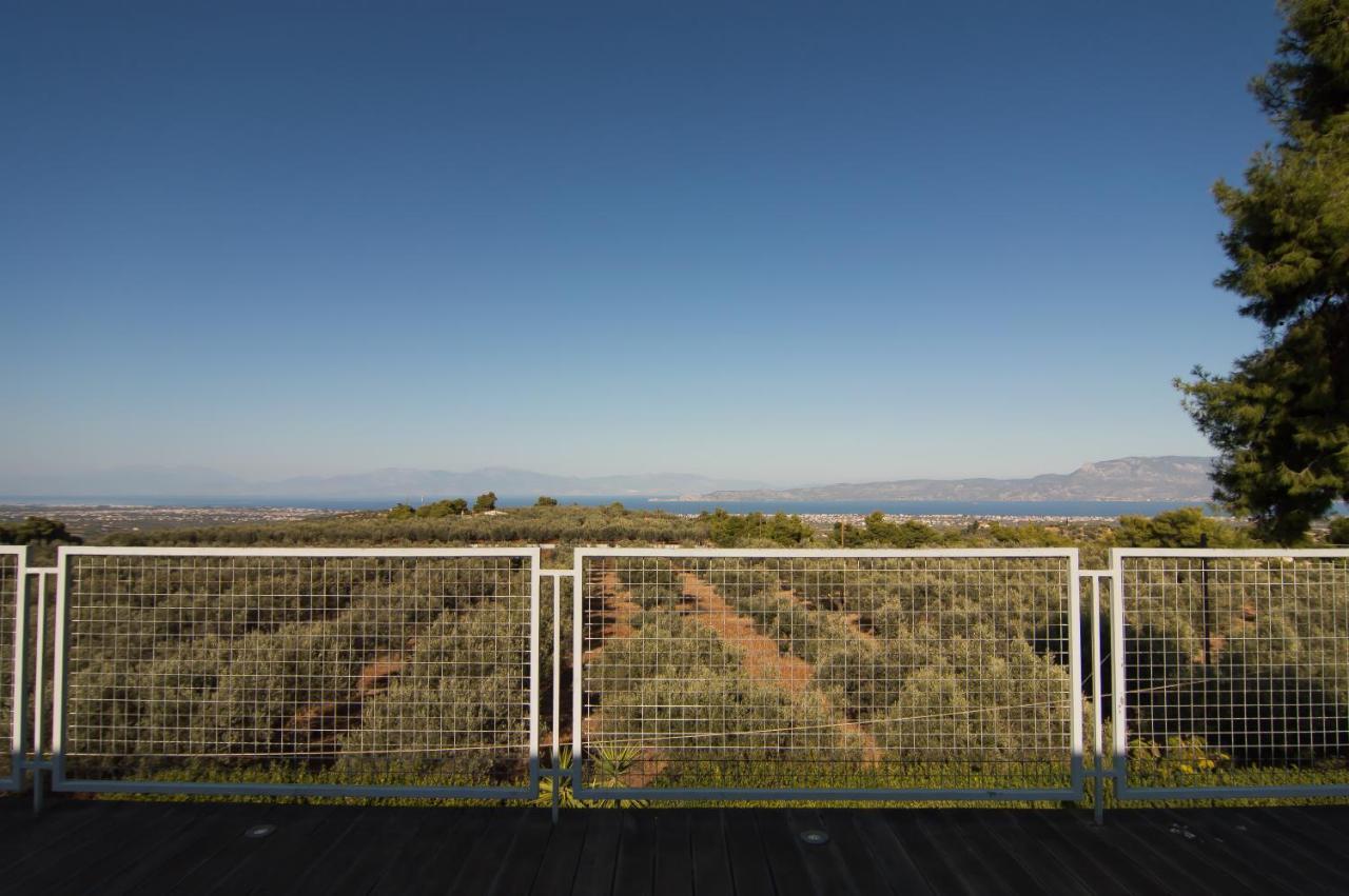 Country Villa Peloponnese With Tennis Court And Pool Zevgolateion Exterior photo